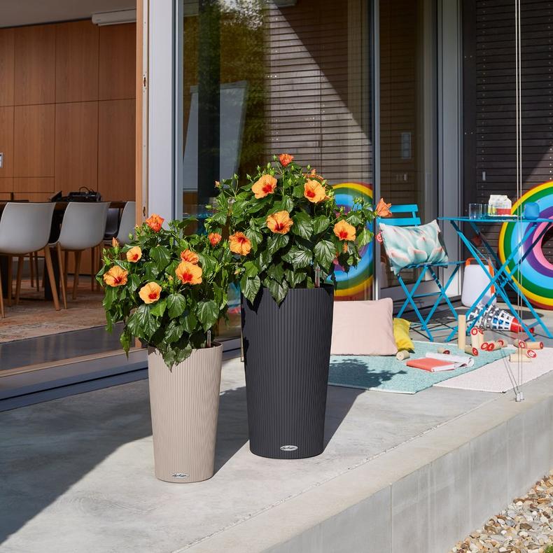 le_cilindro-color_product_addi_05